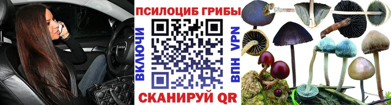 Галлюциногенные грибы Cubensis  как найти закладки  Питкяранта 