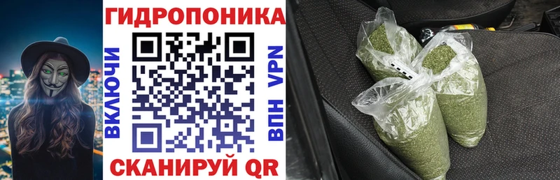 Шишки марихуана ГИДРОПОН  гидра   Питкяранта 